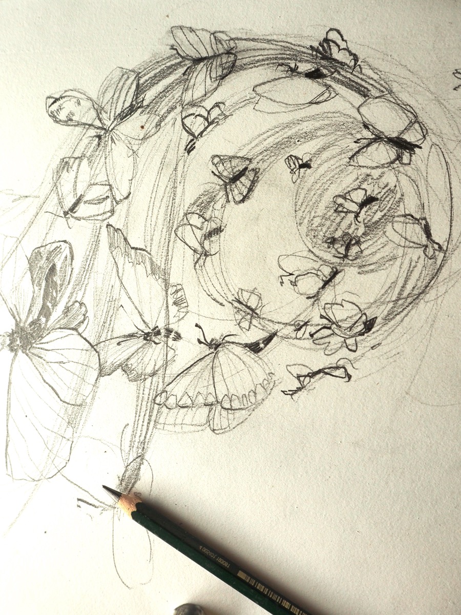 esboacar borboleta-pormenor-2