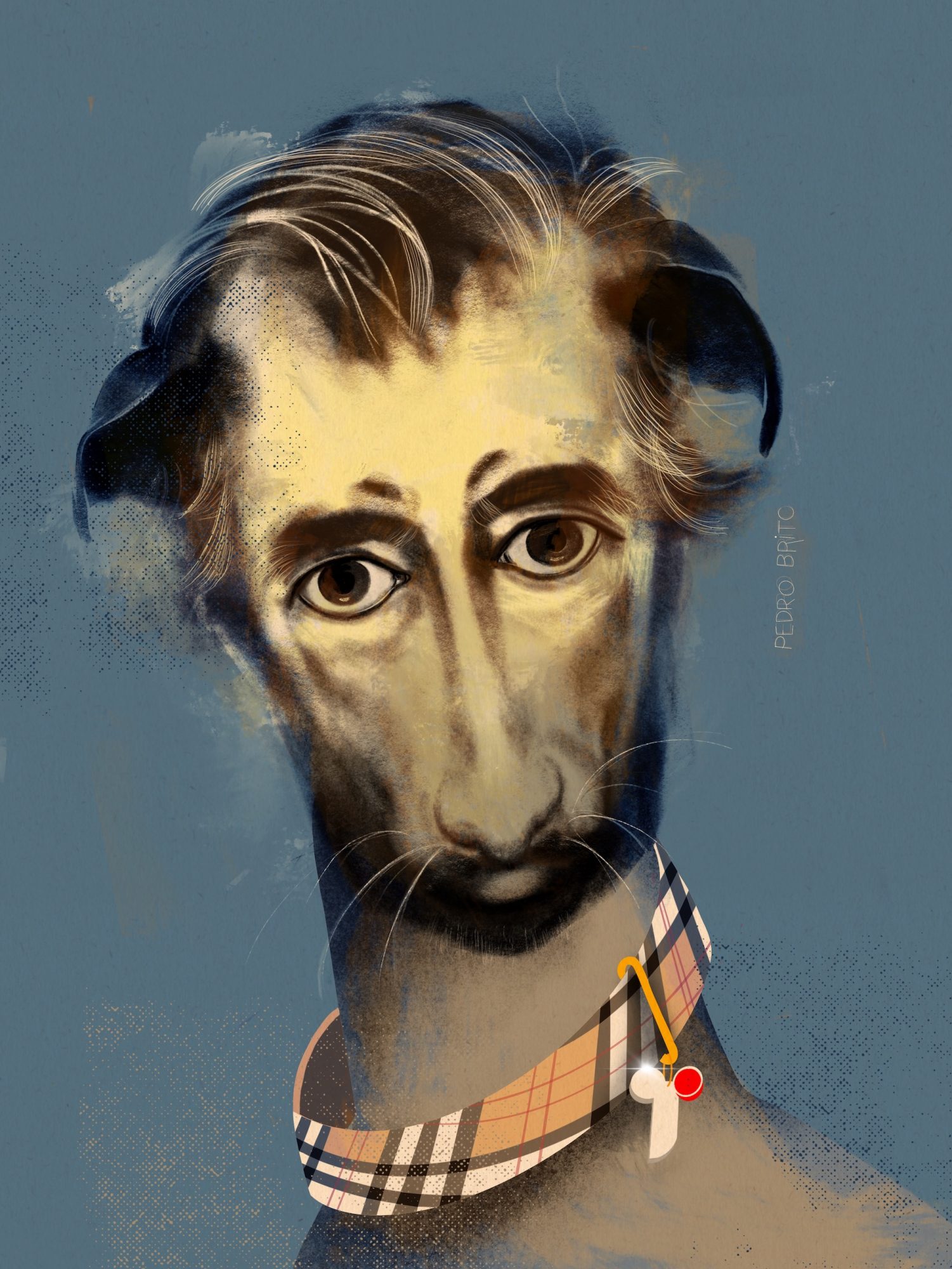 Galgo, o liberal