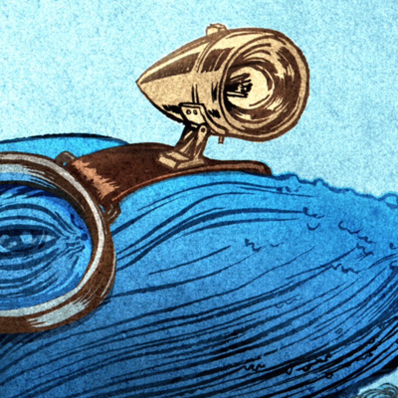 Baleia nun-icon-cópia-icon