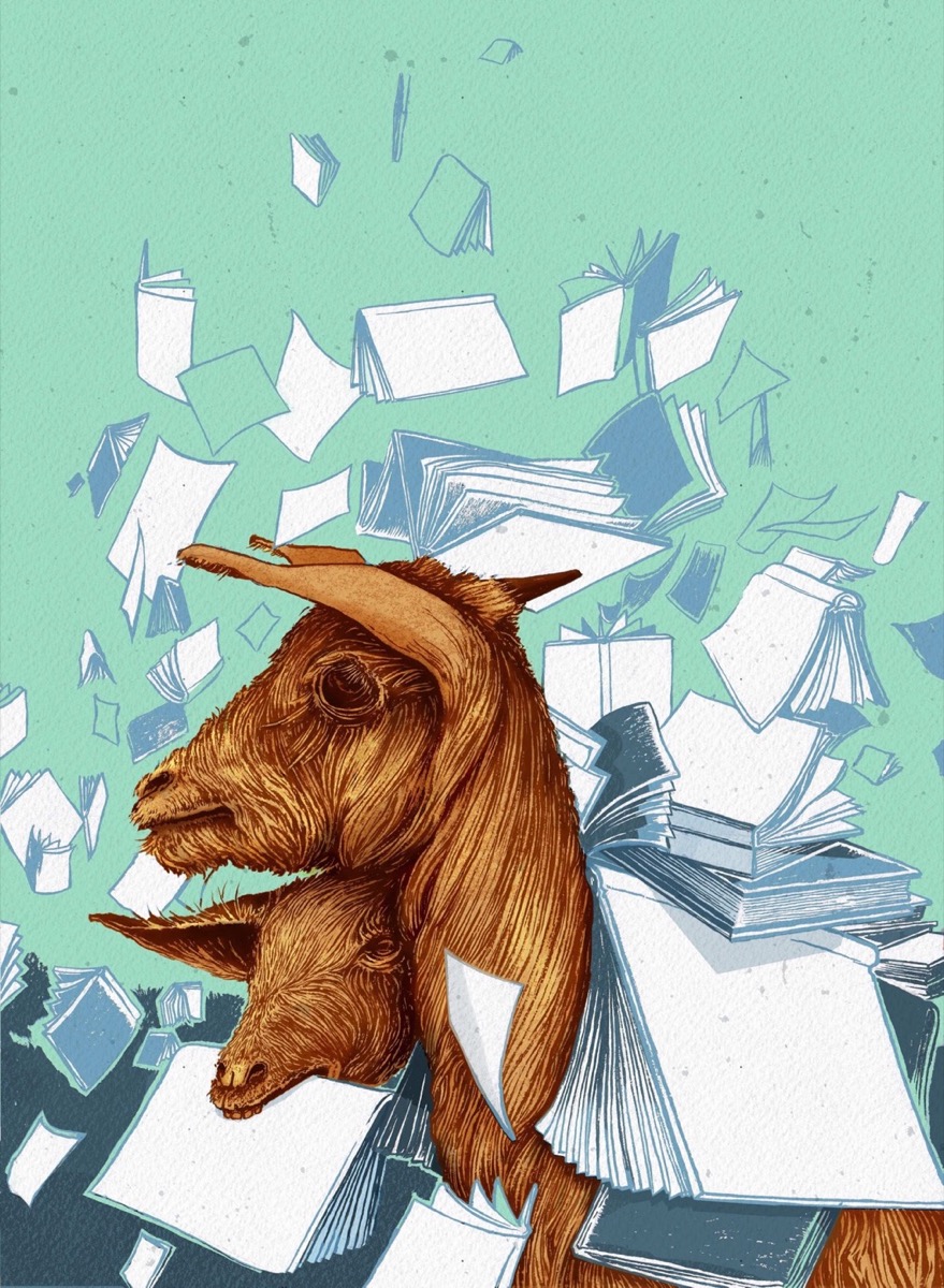 Caprinos%20Leitores%20