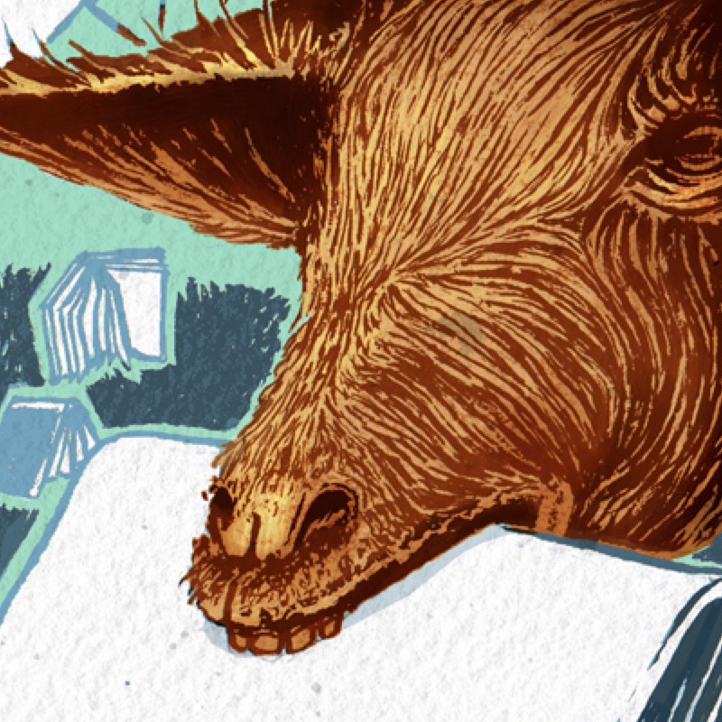 caprinos_leitores%20 %20icon