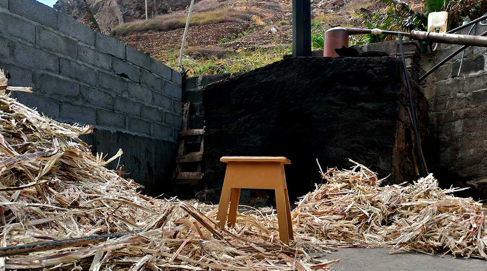 Engenho O engenho do Senhor Avelino em Ribeira de Prata